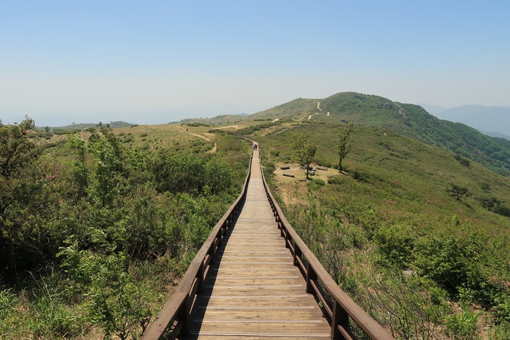  [경남 합천] 꽃이 없어도 좋은 철쭉 군락지 황매산, 황매산오토캠핑장
