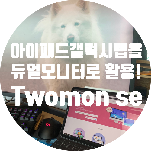  갤럭시탭과 아이패드를 PC듀얼모니터로 써보자 - Twomon SE 투몬SE
