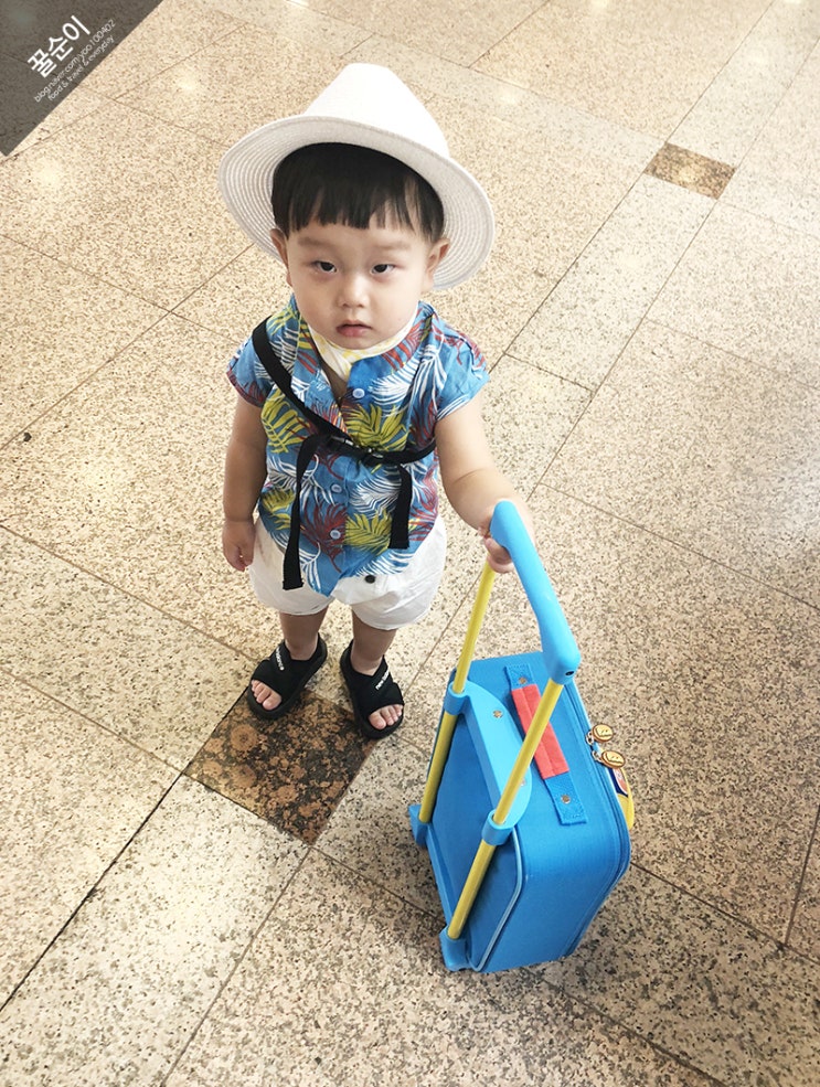  제주도 16개월아기랑 비행기 / 아기랑 여름 제주도 여행 은희네해장국