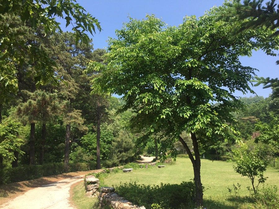 오무향 사진 1
