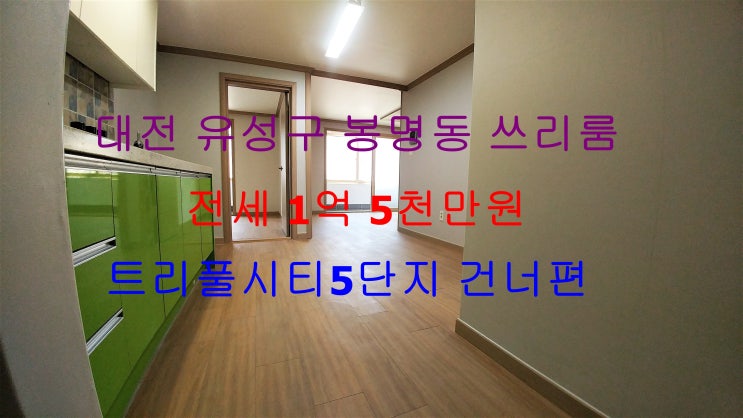  (대전 유성구 봉명동) 트리풀시티5단지 건너편에 조용한 동네에 있는 저렴한 전세 쓰리룸입니다 ^^