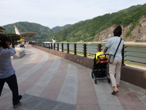  (단양축제)단양 소백산 철쭉제,메밀꽃