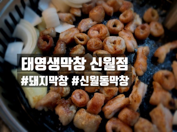  「신월」  태영생막창 신월점 , 둥글둥글 돼지막창