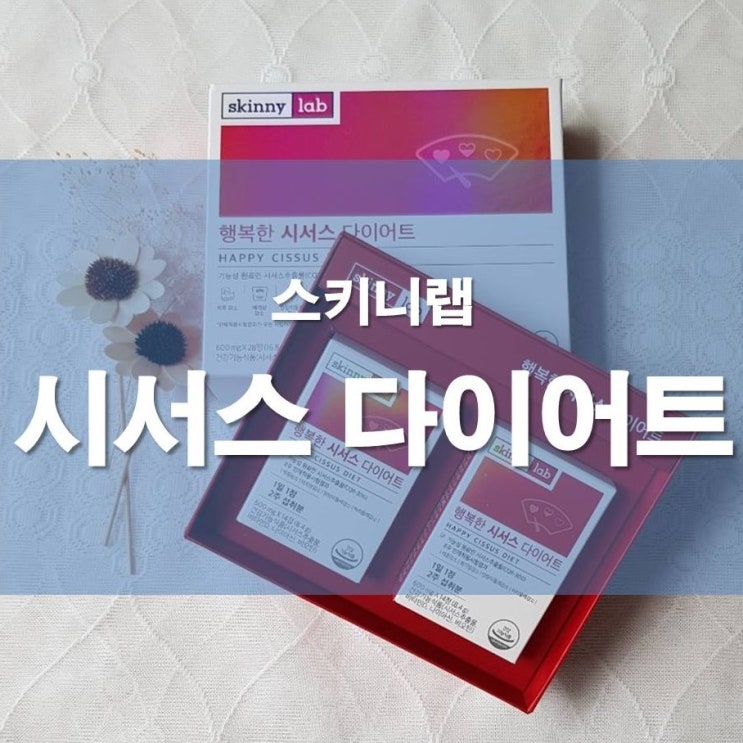  다이어터 이다희다이어트 스키니랩 행복한 시서스 다이어트