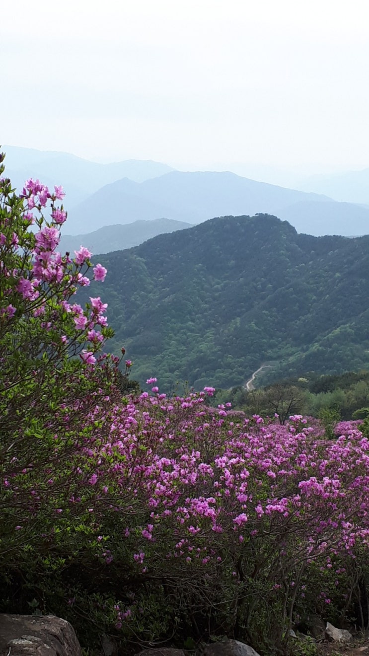  황매산