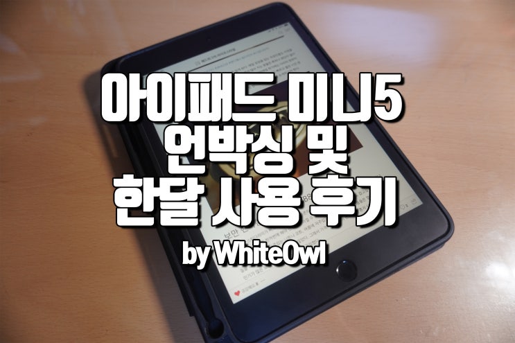  아이패드 미니 5세대 셀룰러 언박싱 및 교육할인 구입 한달 사용 후기