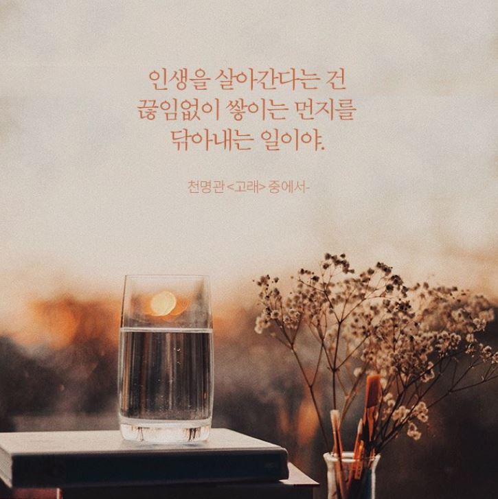  바람이 분다~