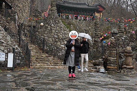 진안전컨설팅 이미지