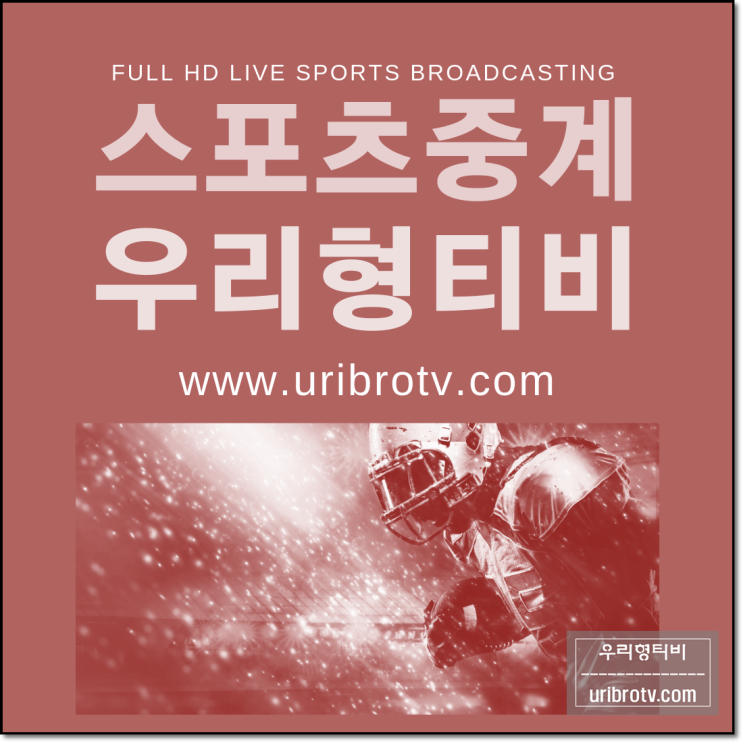  대한민국 남아공 중계 붉은악마들의 함성이 기대되