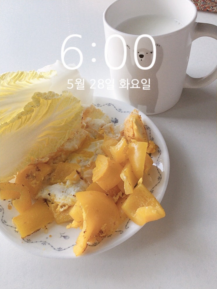  2019.05.28 니 뭐 뭇노
