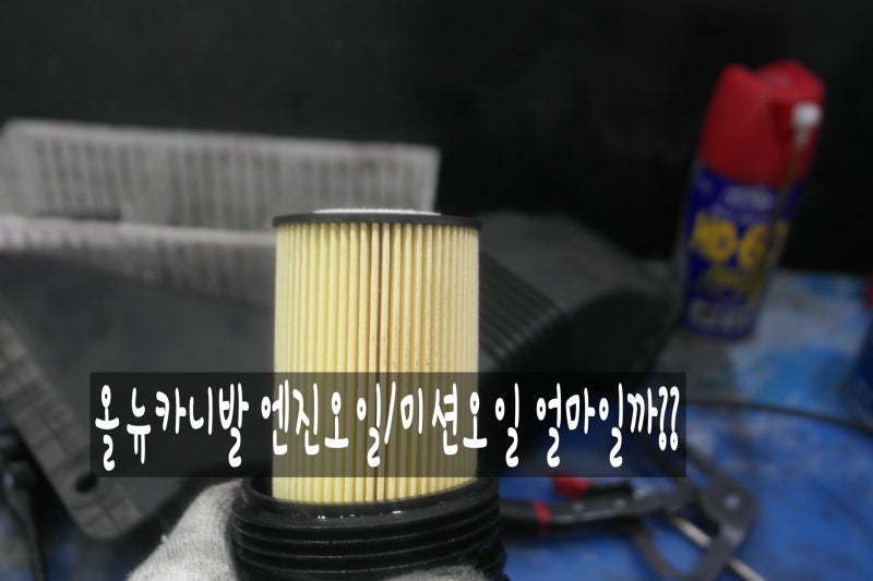 올뉴카니발 엔진오일 교체 비용!! 미션오일 가격!!