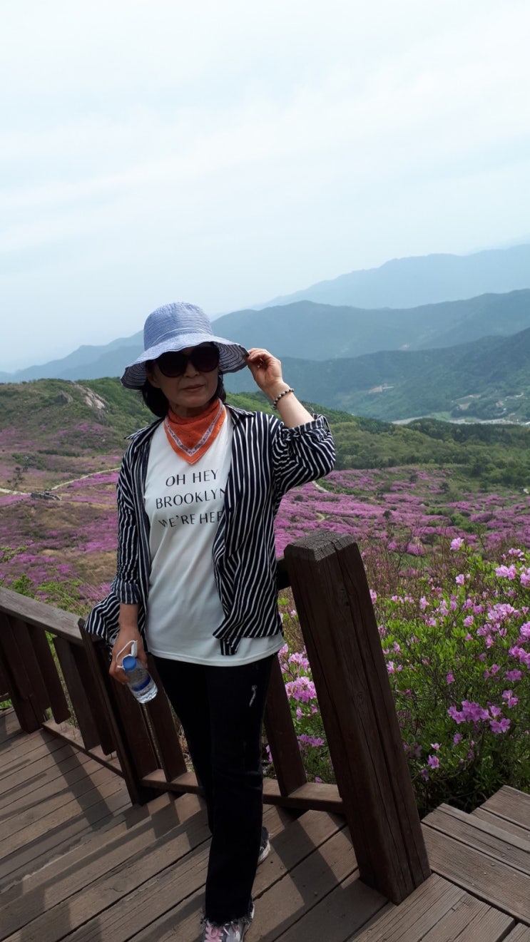  여행