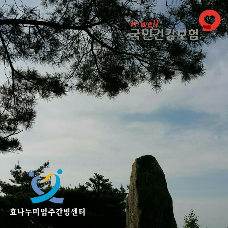 노인장기요양보험 신청대상, 신청자격, 이용절차 안내 <입주간병인 안내> 노인장기요양보험 신청대상, 신청자격, 이용절차 안내 <입주간병인 안내>