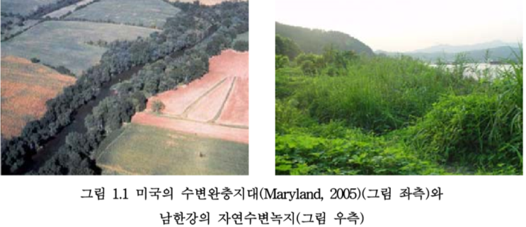  수질오염학/수변완충지대
