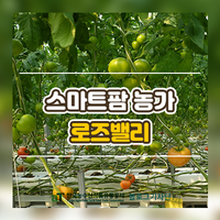  스마트팜 농가 로즈밸리를 방문하다.