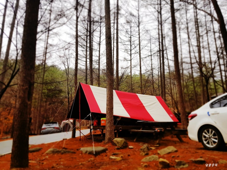  국립용화산자연휴양림(19.03.30~19.03.31)