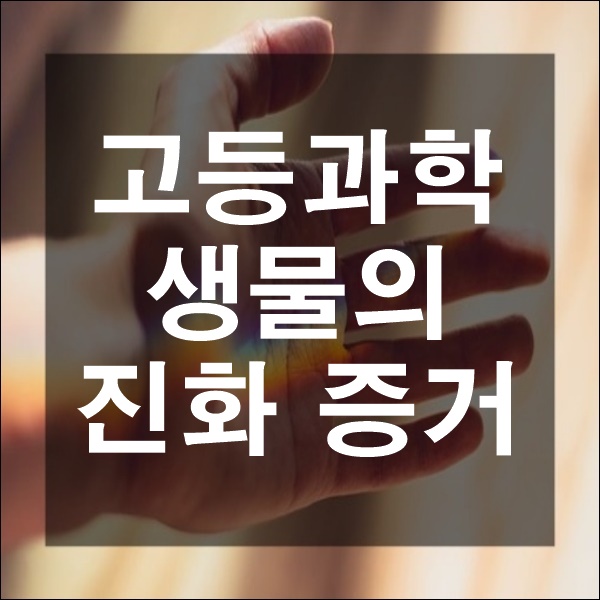  고등과학 생명 과학 생물의 진화 기원 다양성 증거 지리학적 화석 분자생물학적