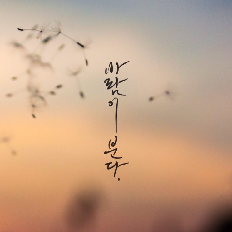  [캘리그라피] 바람이 분다