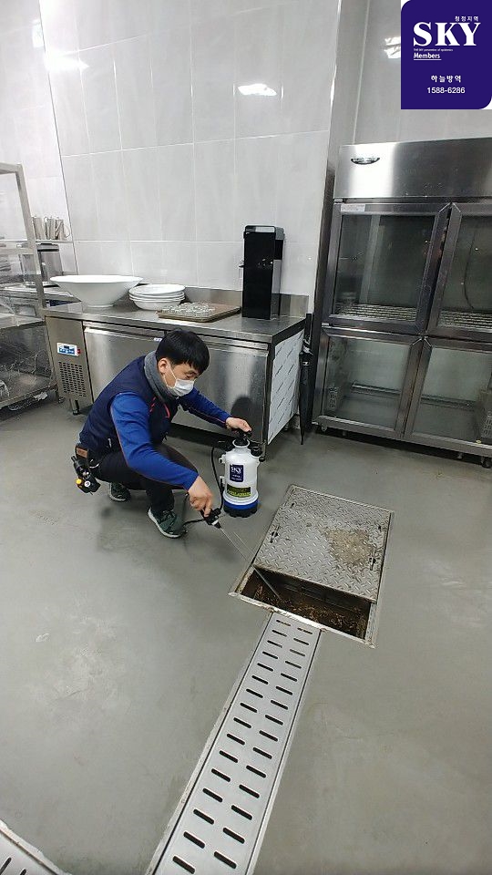  군포 해충퇴치 바퀴벌레 퇴치, 익산 바퀴벌레 퇴치 소독업체 선택은 여기로 하세요~~