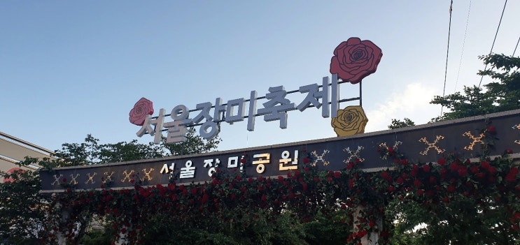  서울장미축제 뒤늦은 후기