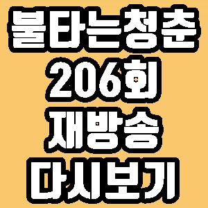 불타는청춘 김정난 조하나 김정균 206회 재방송 다시보기 방송시간 편성표