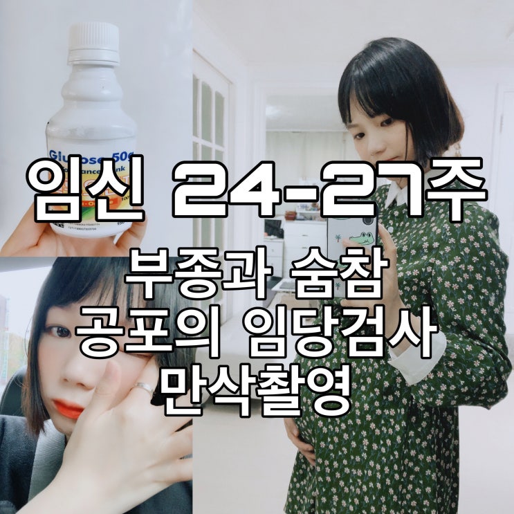  [임신 24~27주] 부종과 숨참, 공포의 임당검사, 만삭촬영