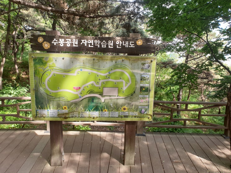 한적히 걷기좋은 인천통일관 수봉공원 후기 한적히 걷기좋은 인천통일관 수봉공원 후기