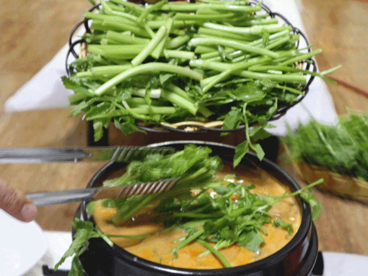  광주역 맛집 : 부모님도 인정한 태화 오리탕