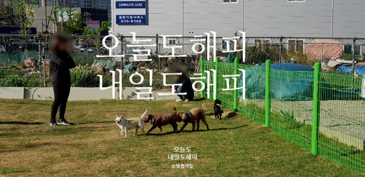  수원남문맛집/잔나비공연/동탄애견카페(스물한살)/신리천맛집