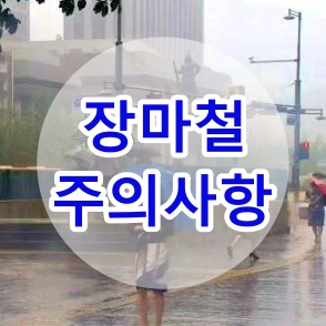  2019년 장마기간 장마철 언제부터 시작일까? 장마철 주의사항들