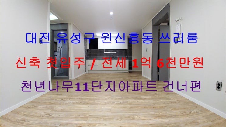 (대전 유성구 원신흥동) 천년나무11단지아파트 건너편 조용한 동네에 있는 신축 첫입주 전세 쓰리룸이에요 ^^