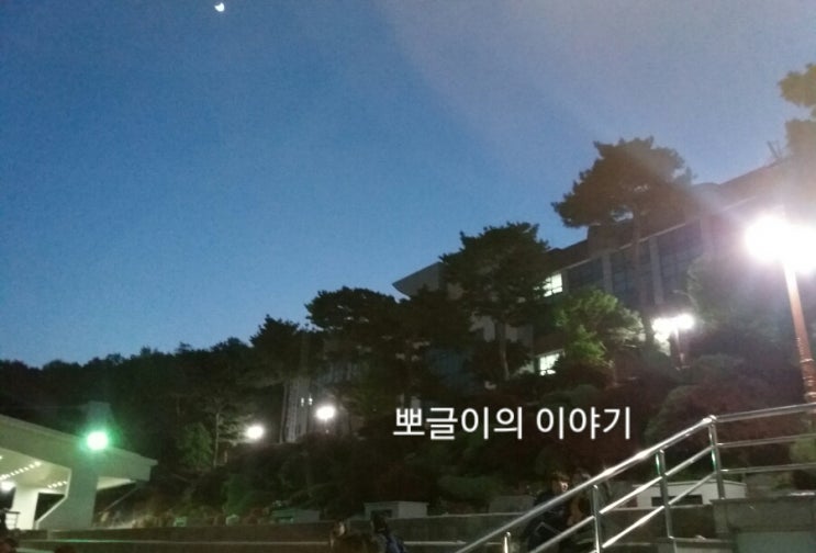 서정대학교 체육대회 다녀왔어요