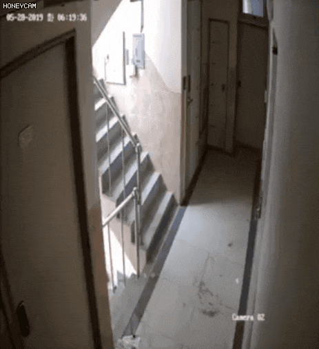 신림동 강간미수범 체포, CCTV 움짤