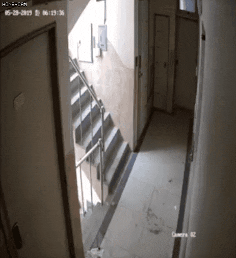  신림동 강간미수범 체포, CCTV 움짤