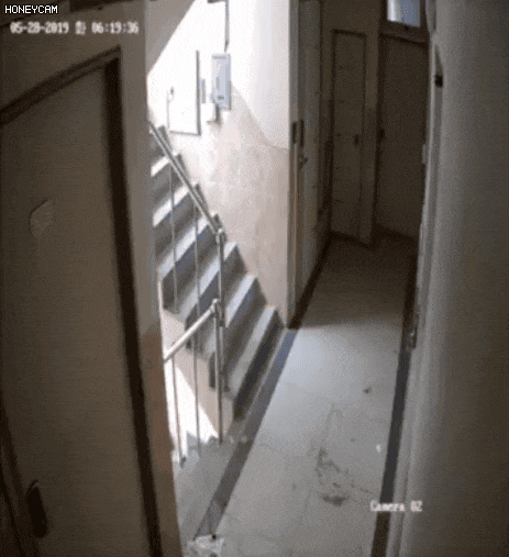  '신림동 강간미수범 영상' 속 30대 남성 긴급체포 (원본 영상,cctv 영상 포함)
