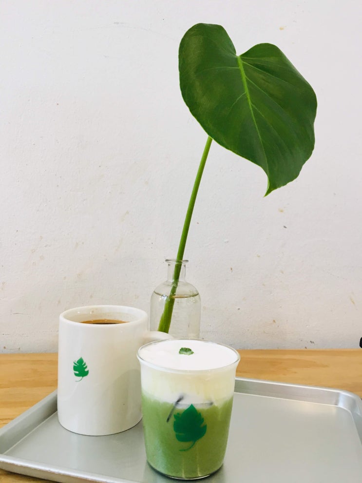 [가로수길] 카페 추천, 식물학 커피 (Sikmulhak Coffee)