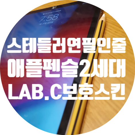  랩씨 애플펜슬2세대 보호스킨 필름, 스테들러 연필인줄?