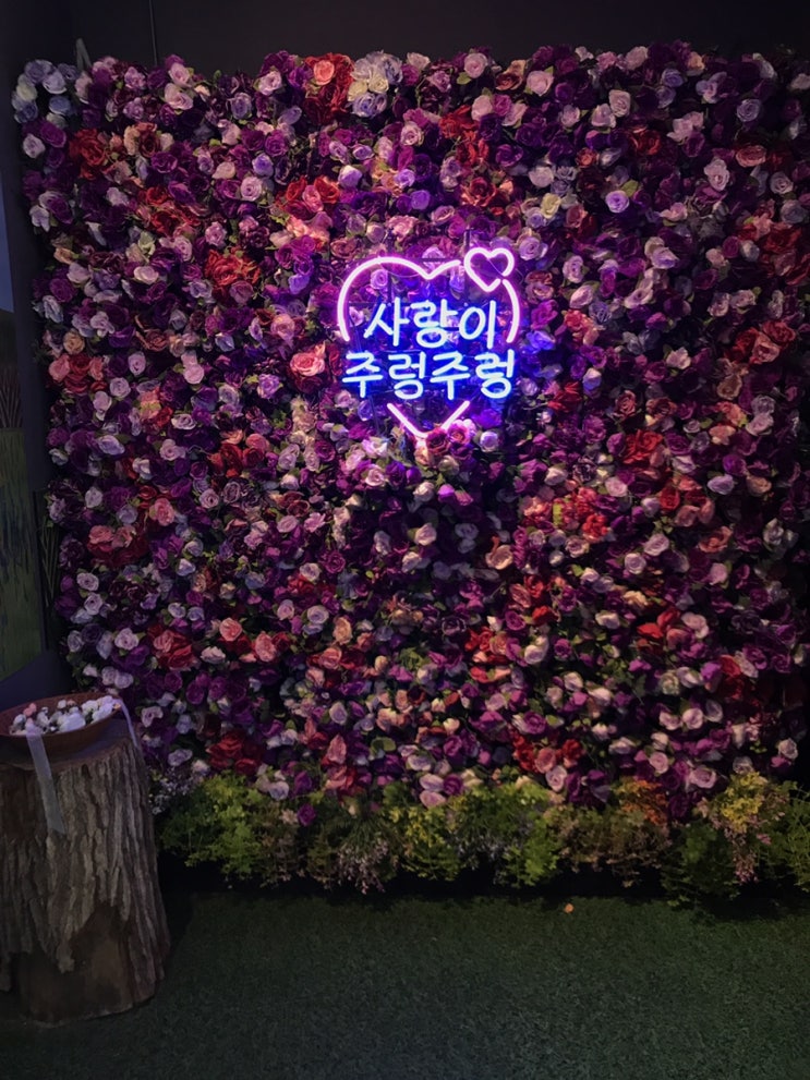  [경주 가볼만한곳 / 실내데이트] 경주 주렁주렁