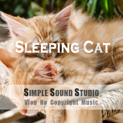 [무료사용 BGM] 명상 릴렉스 영상에 사용하기 좋은  배경음악 다운 - Sleeping Cat