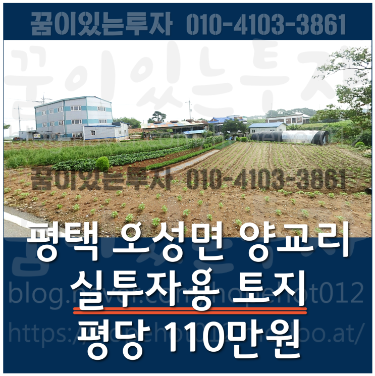 평택 양교리 토지 (계획관리지역, 창고, 제조장, 전원주택 부지 추천) 평택 양교리 토지 (계획관리지역, 창고, 제조장, 전원주택 부지 추천)