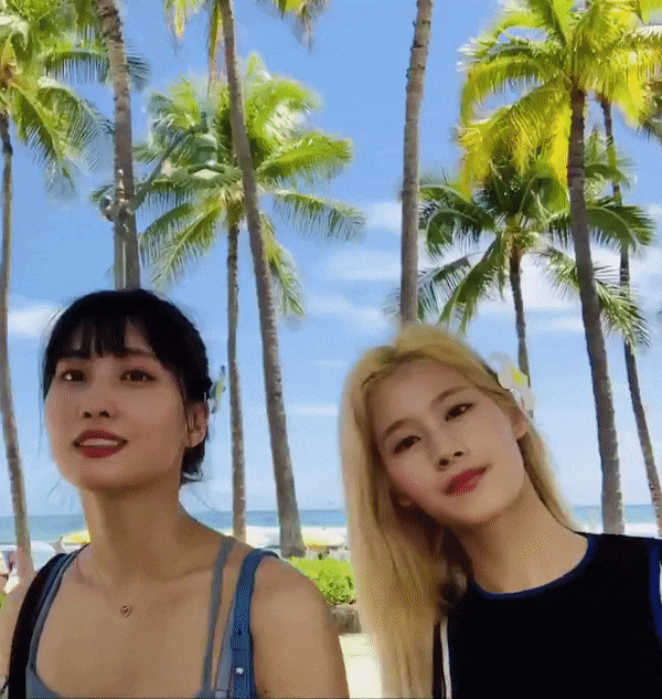  하와이 휴가를 즐기는 트와이스 모모 & 사나