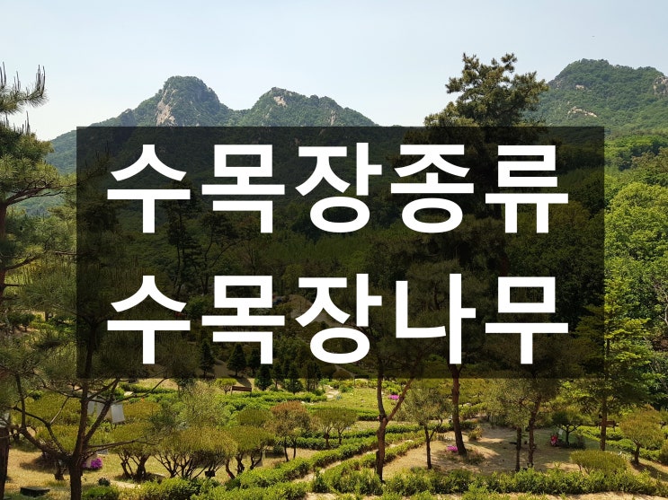  수목장나무와 종류는 어떤게 있나요?