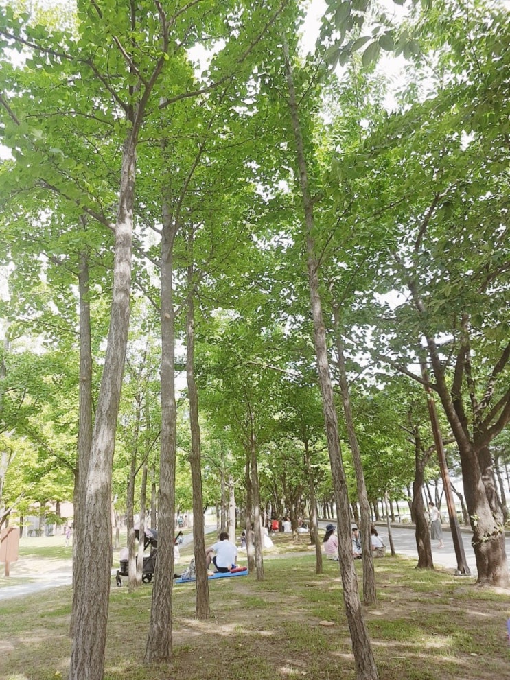 서울의 숨은 명소 "선유도공원"