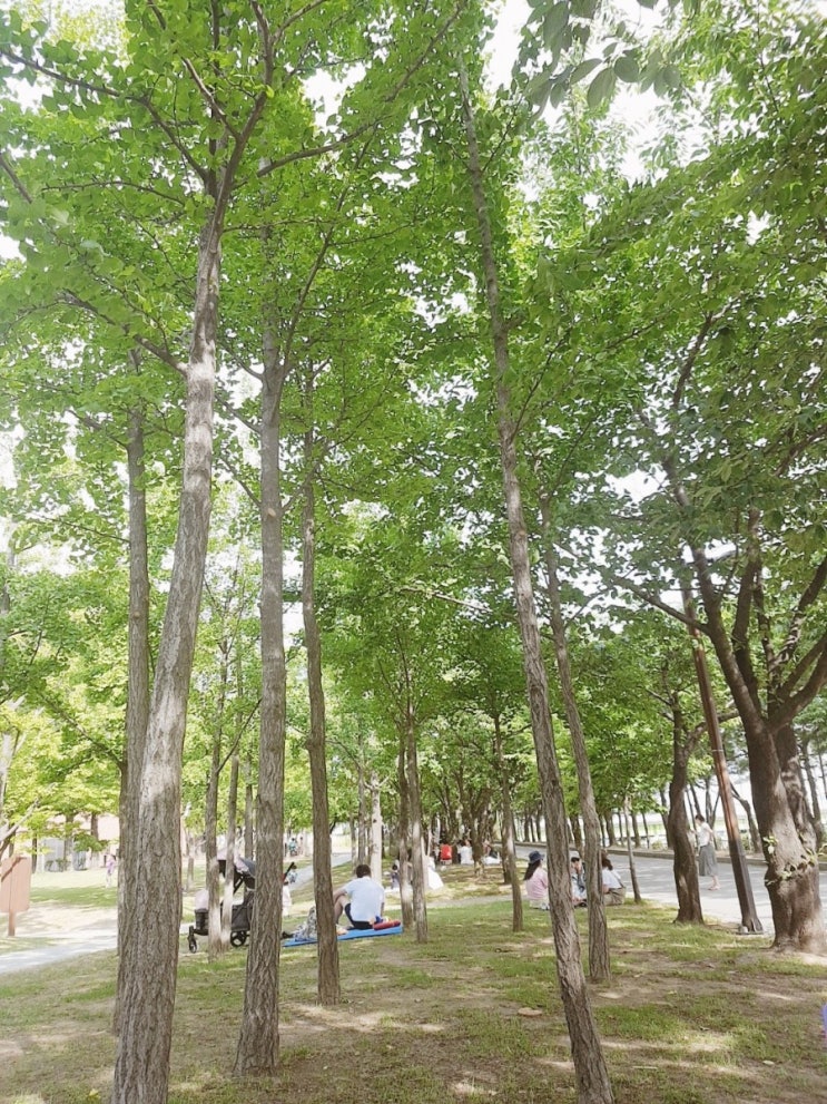  서울의 숨은 명소 "선유도공원"
