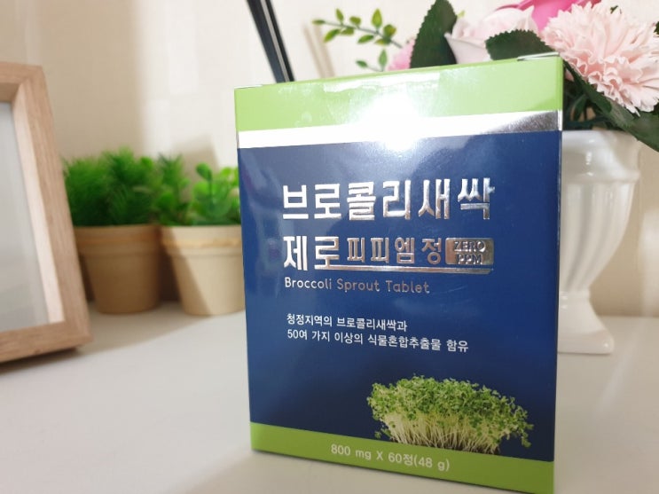  미세먼지 배출에 좋은 브로콜리 새싹 제로피피엠