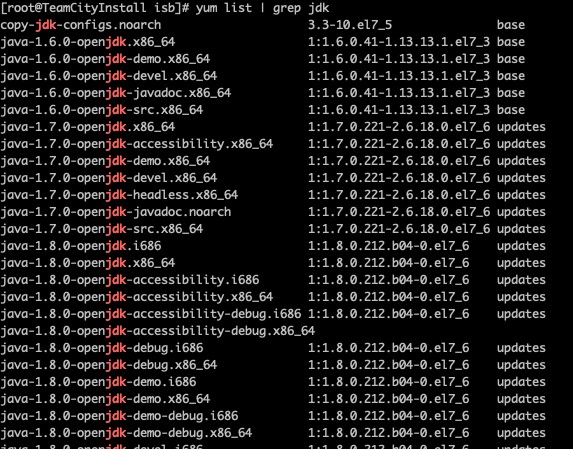  Linux 환경에서 TeamCity 설치하기
