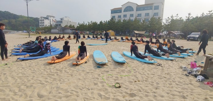  양양 솔게스트하우스 서핑 + 파티 + 공연 모든걸 풀패키지로~