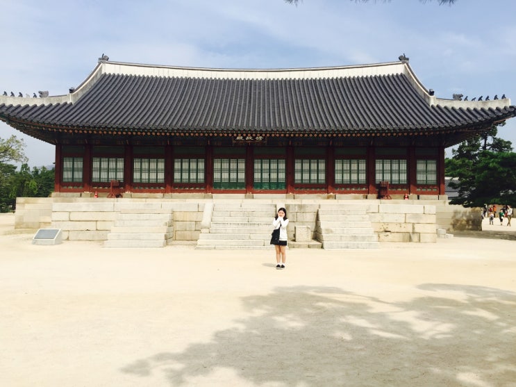  블로그씨 질문 의식의 흐름대로 답하기