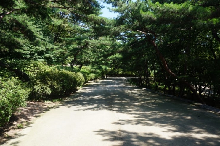  서울 창덕궁&창경궁의 산책