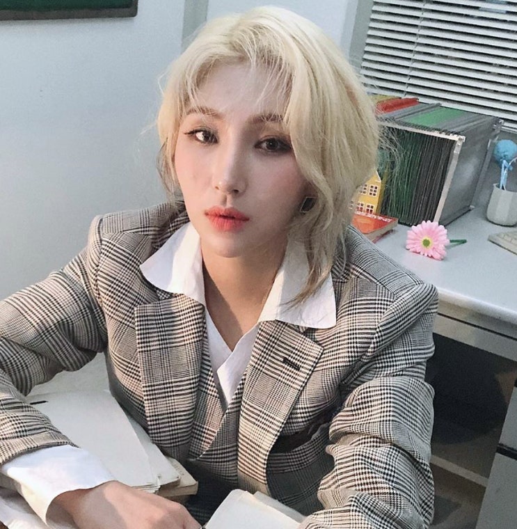  자이언트핑크 라디오스타 SM 예리 이용진 몸매 고향 국적 집안 과거